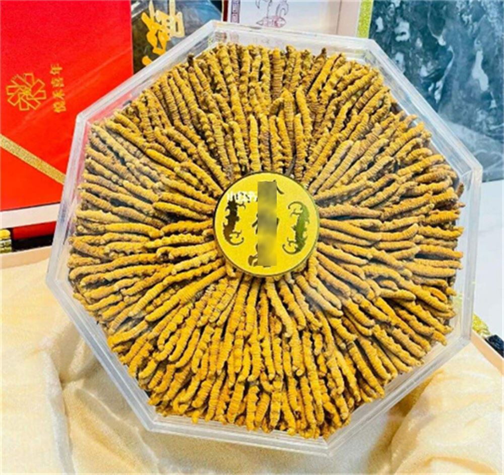 神湾 礼盒装虫草回收  虫草回收 联系  现场结算