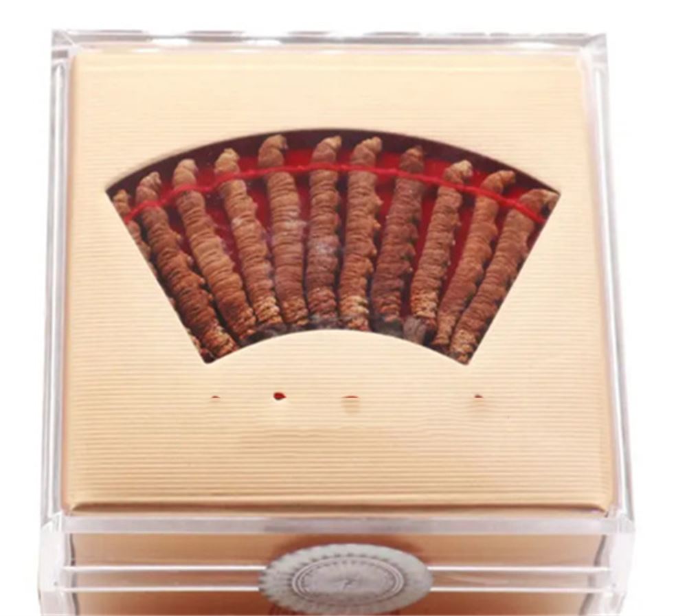 石龙 收购散装虫草  冬虫夏草收购 正规门店  免费估价