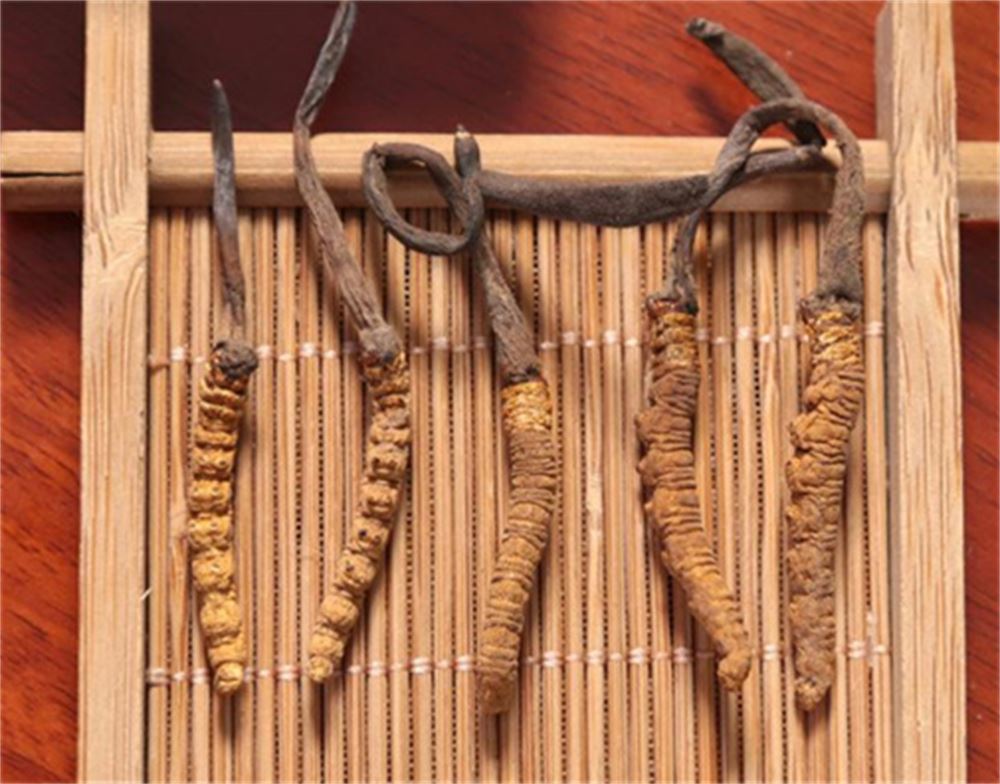 黄江 收购冬虫夏草  冬虫夏草收购 正规门店  长期合作