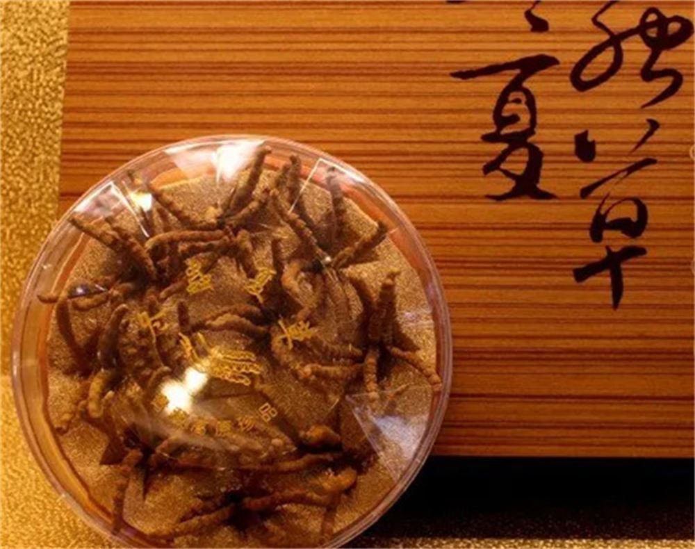 横沥 回收同仁堂虫草  虫草回收 多少钱一克  正规经营