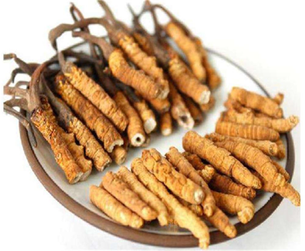 塘厦 收购散装虫草  冬虫夏草收购 联系方式  现场结算