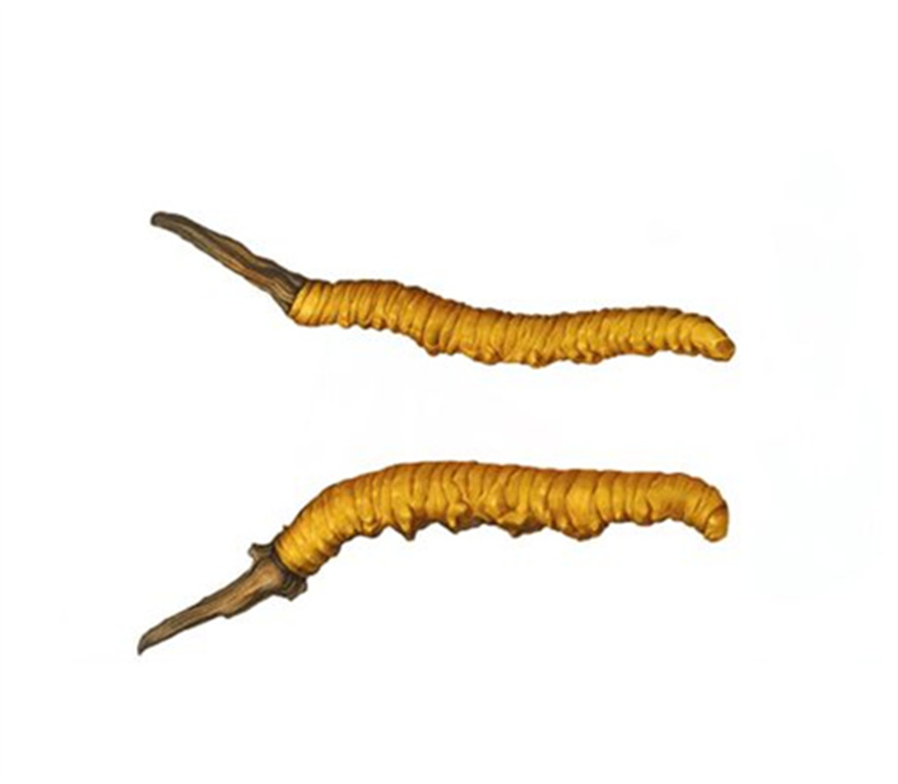 虎门 收购虫草  虫草回收 商家  免费估价