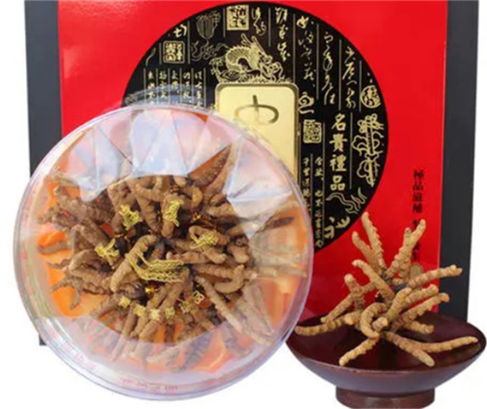 端州 收购散装虫草 冬虫夏草收购 怎么联系 长期合作