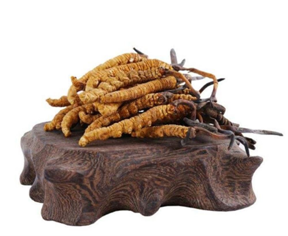 清远 回收断条冬虫夏草  冬虫夏草收购 价格评估  上门回收