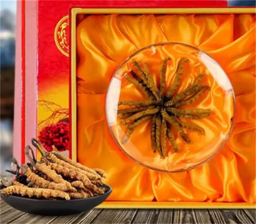 惠城 回收冬虫夏草 冬虫夏草收购 行情 诚信回收