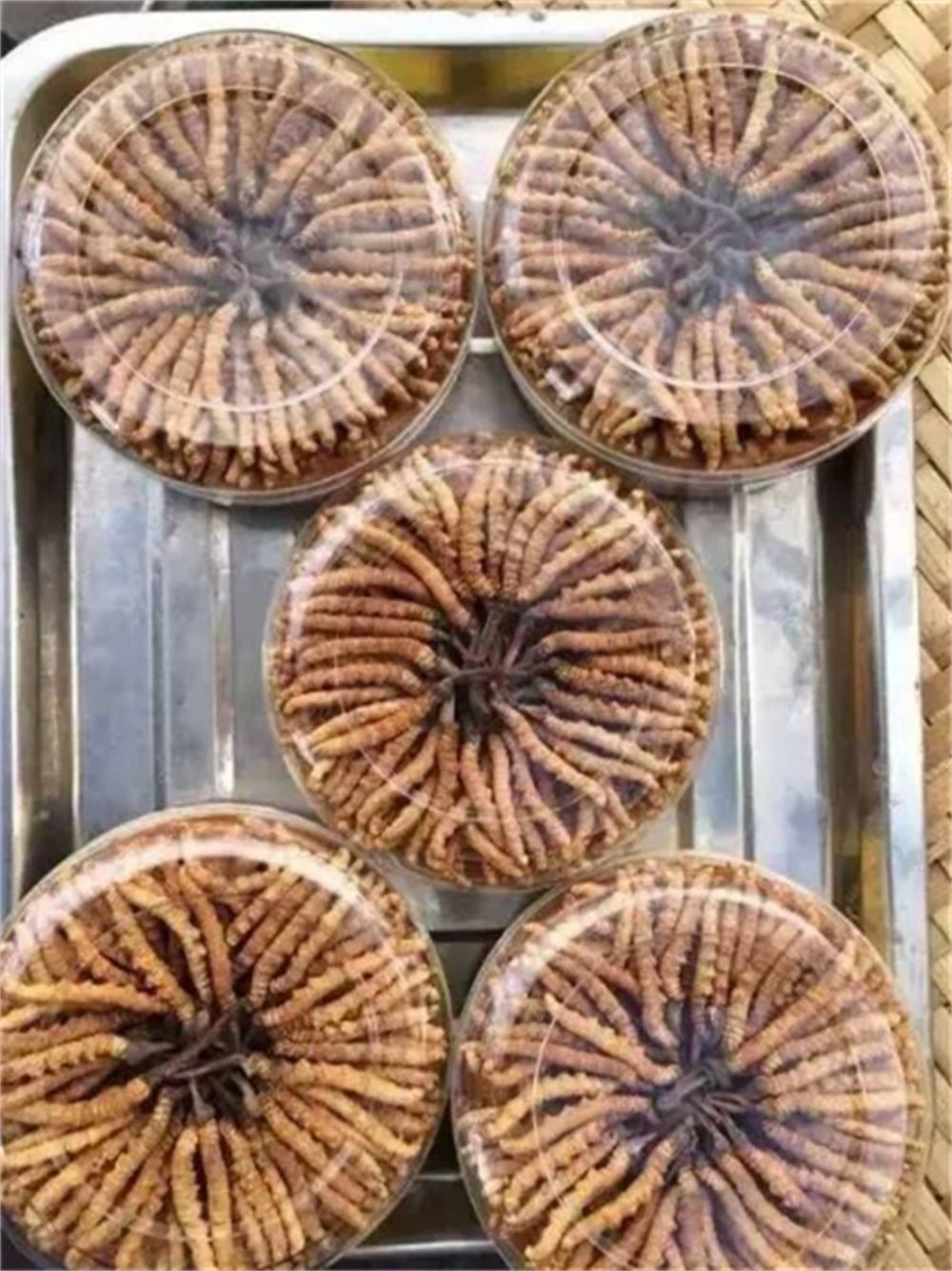 企石 礼盒装虫草回收  冬虫夏草收购 商家  上门回收