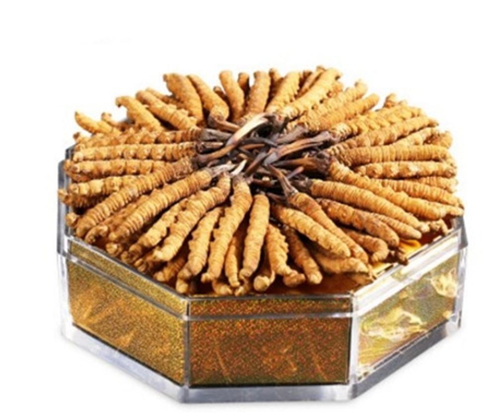 南沙 收购虫草  冬虫夏草回收 价格评估  上门回收