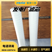 定子冷却水滤芯SL-12/50汽轮机油装置专用