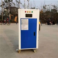 冬季施工混凝土养护机 混凝土水泥工件养护蒸汽锅炉低水位护