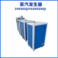蒸汽生器桥梁养护 全自动加热蒸汽生器能耗分析