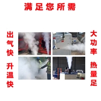 天津桥梁养护器 48kw电加热蒸汽生器品质障