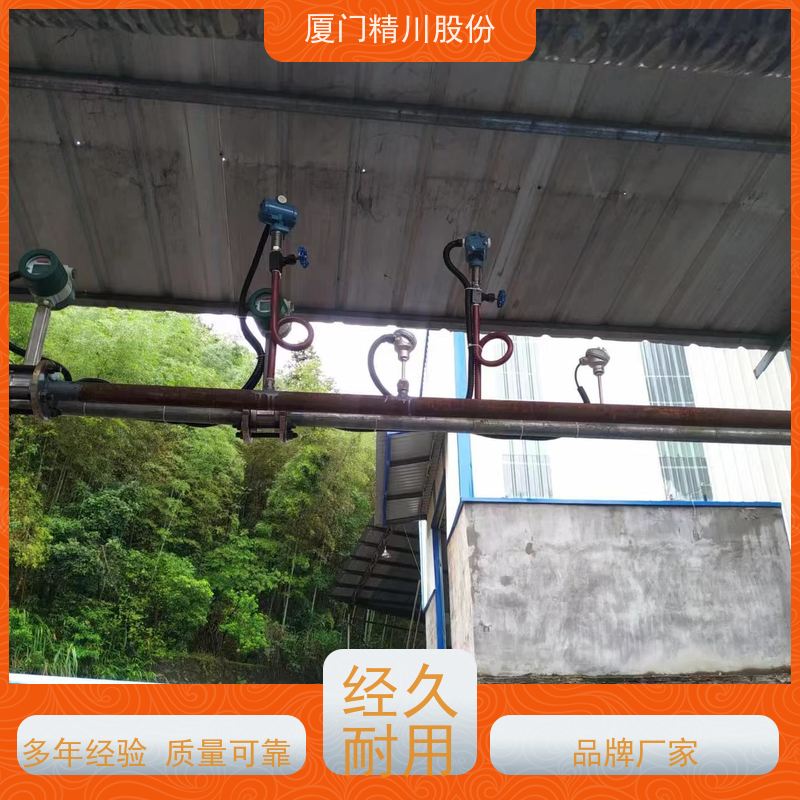 精川股份 织造厂 过热蒸汽流量计 抗震性能好 源头生产厂家