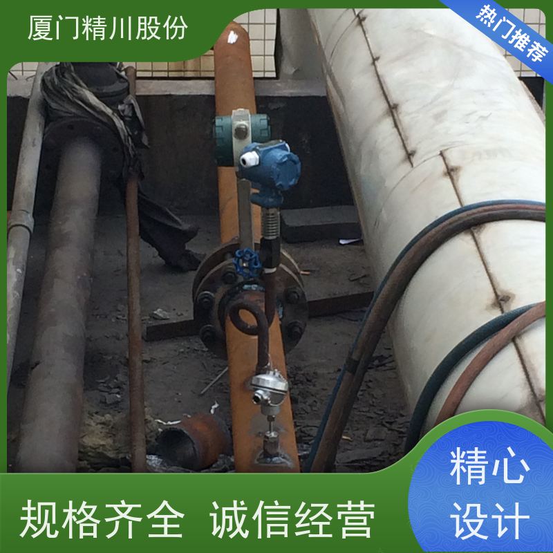 精川股份 合成革厂 蒸汽涡街流量计 分体式温压补偿 应用广泛
