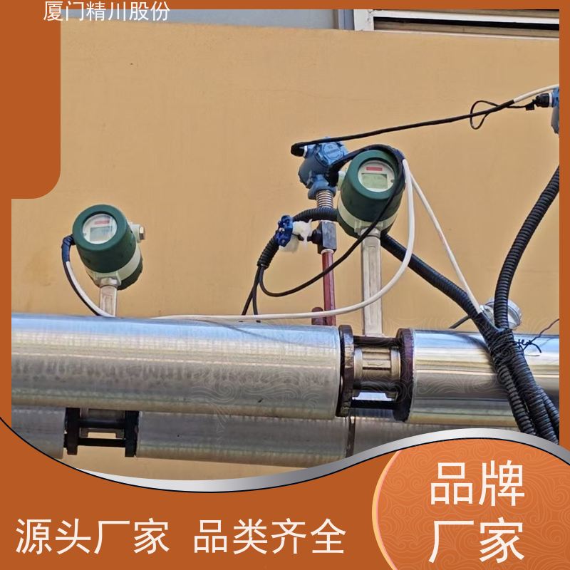 精川股份 制革厂 锅炉蒸汽流量计 抗震性能好 源头生产厂家