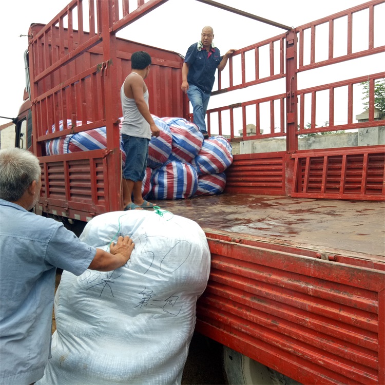 重庆直径200透水软管产地货源