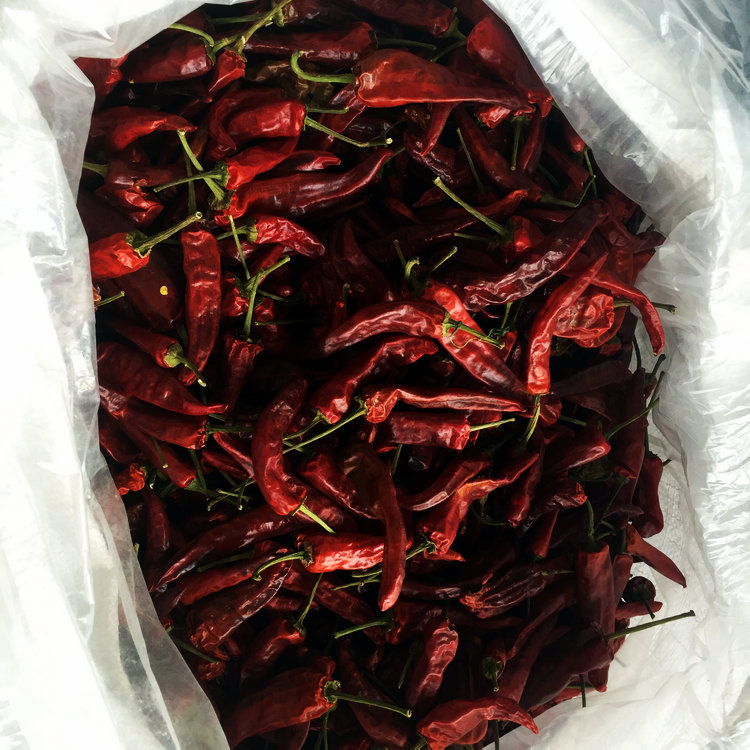 明辉香料特辣福建干辣椒荣昌卤鹅专用福建辣椒王极致辣味 