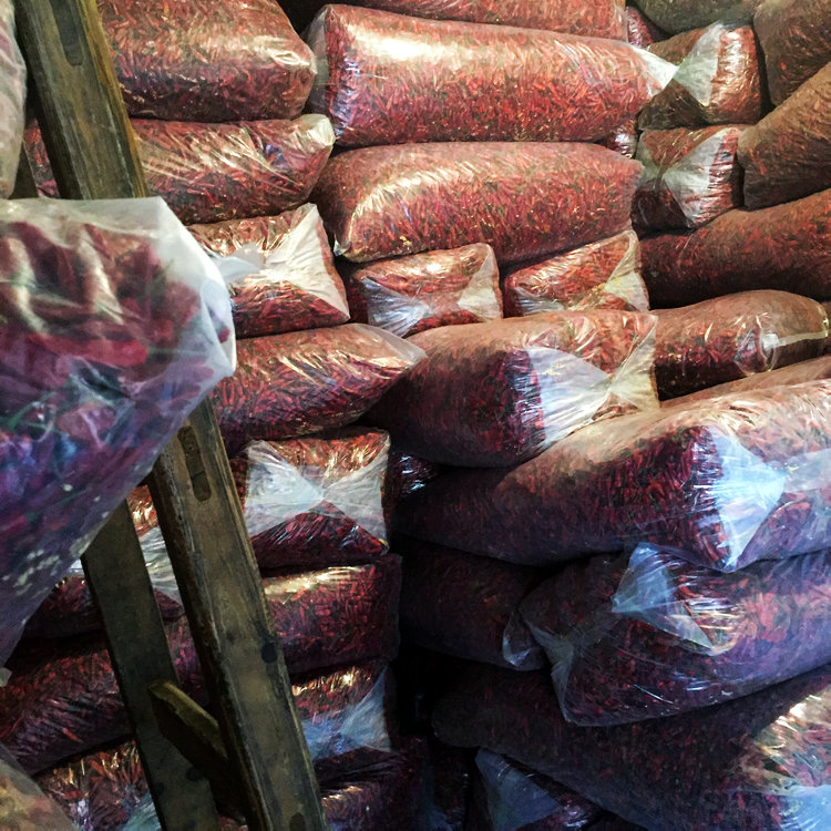 添香汇福建古田辣椒王王氏现捞专用福建辣椒王图片新货 