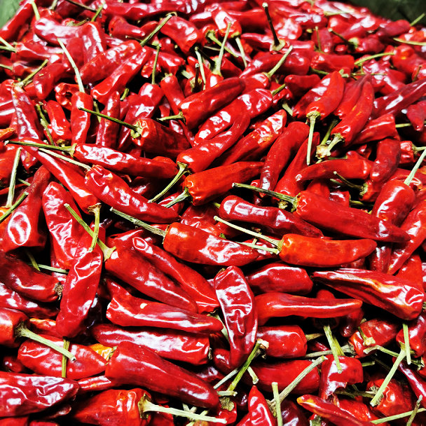 福建古田辣椒王皮厚耐煮卤鸭货福建辣椒王荣昌卤鹅调料货源 