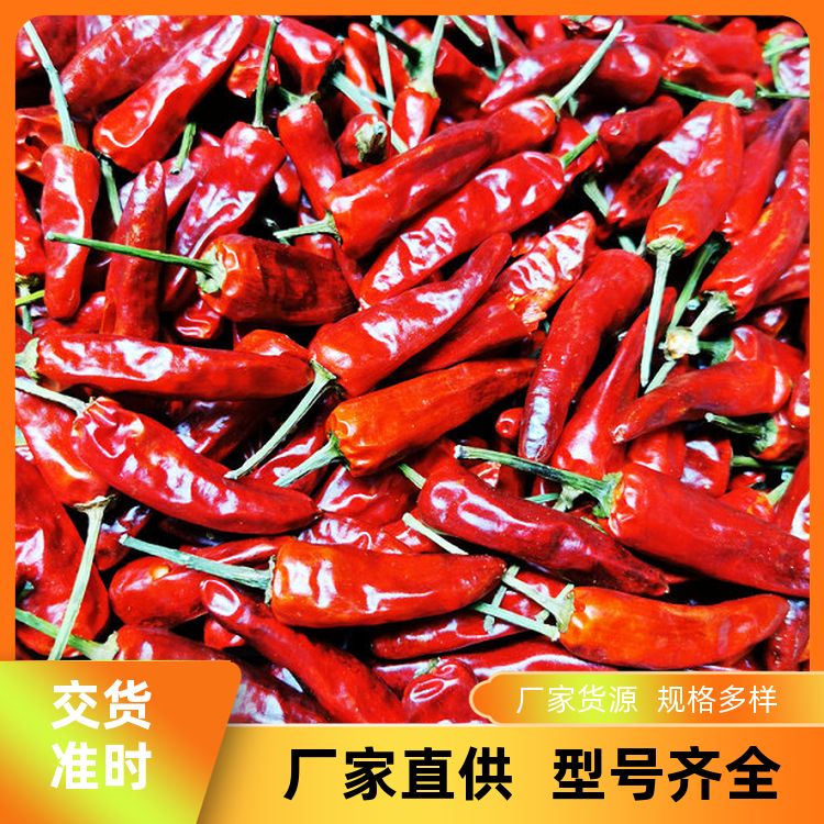 明辉香料福建辣椒王批发新派衢州丫头福建辣椒王图片新货 