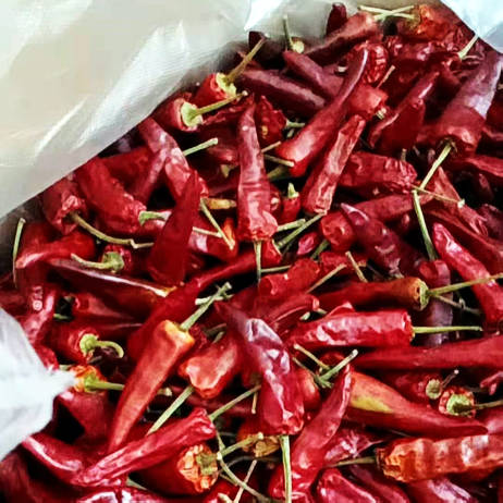 福建辣椒王500g特辣干货卤鸭脖福建辣椒王荣昌卤鹅调料货源 