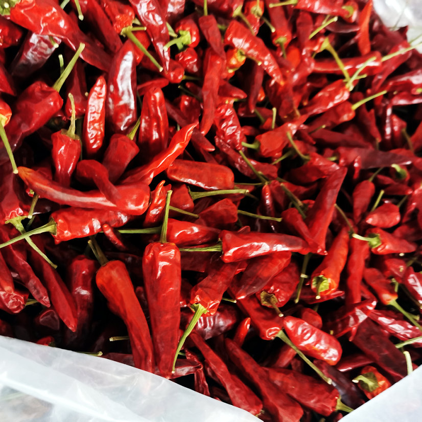 福建正宗辣椒王香辣耐煮可去把福建辣椒王热辣现卤现捞流程 