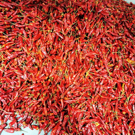 25年新货辣椒王商用装家用商用福建辣椒王精武路麻辣鸭脖料 