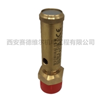 2235590430阿特拉斯空压机配件安全阀