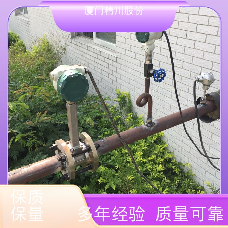 精川股份 织造厂 饱和蒸汽流量计 工作时间长 支持免费选型