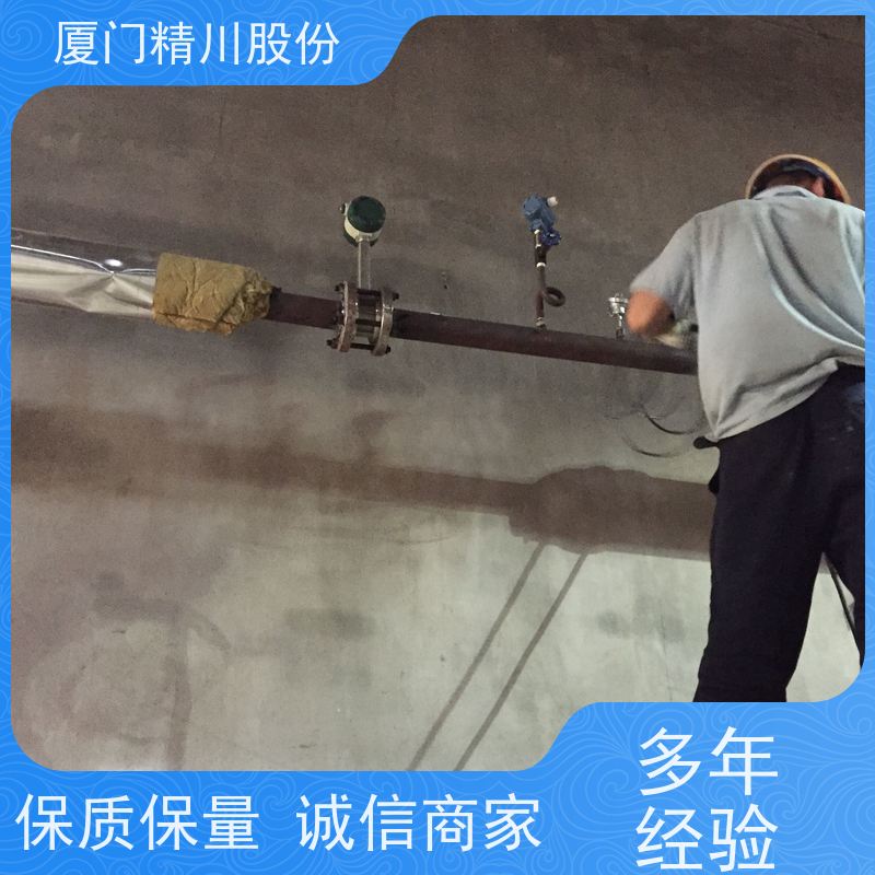 精川股份 饲料厂 压缩空气流量计 抗震性能好 真实应用案例多