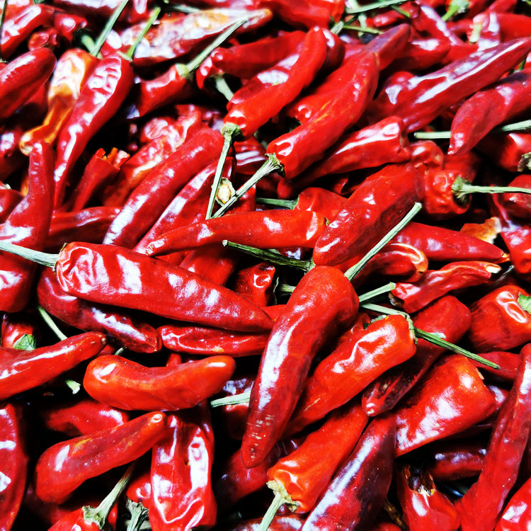 福建辣椒王500g香辣耐煮卤水鹅福建辣椒王衢州鸭头必备调料 