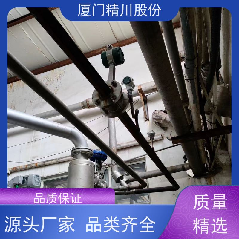 精川股份 合成革厂 蒸汽涡街流量计 可耐温350度 真实应用案例多