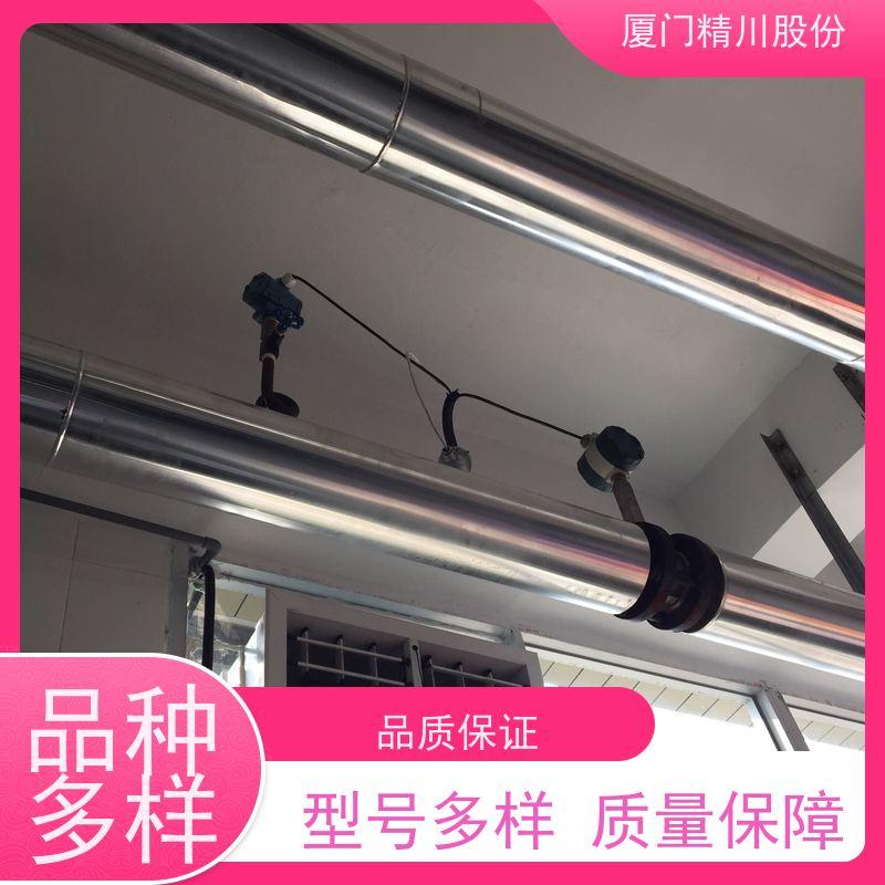 精川股份 电镀厂 锅炉蒸汽流量计 一体式温压补偿 应用广泛