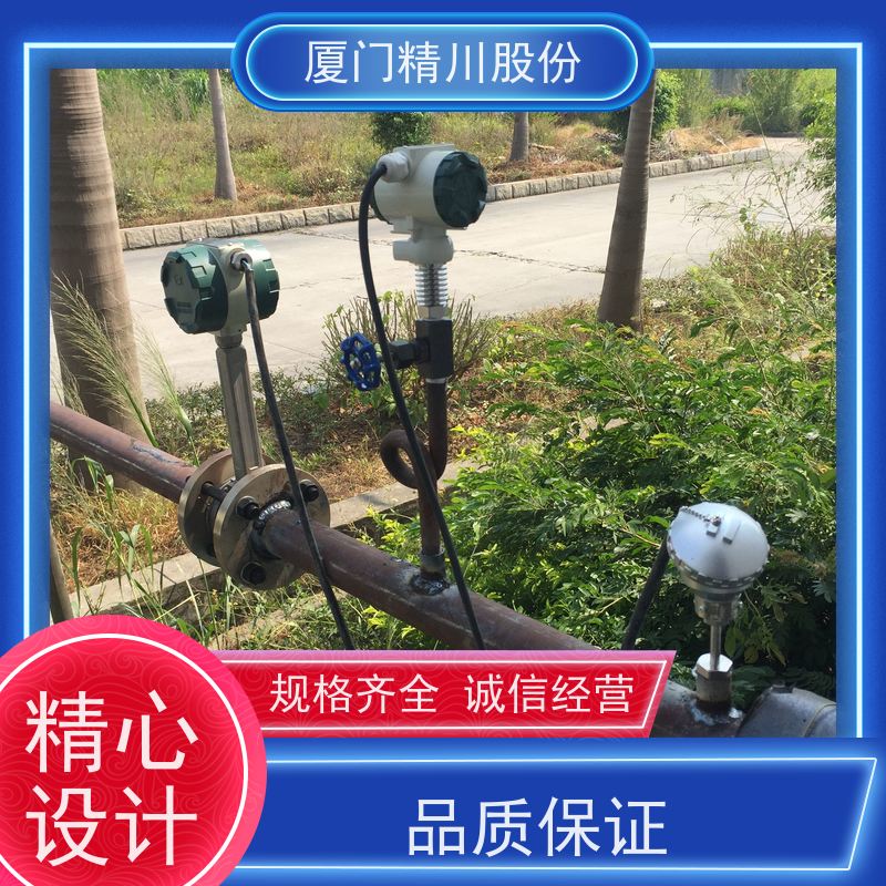 精川股份 合成革厂 涡街蒸汽流量计 抗震性能好 应用广泛