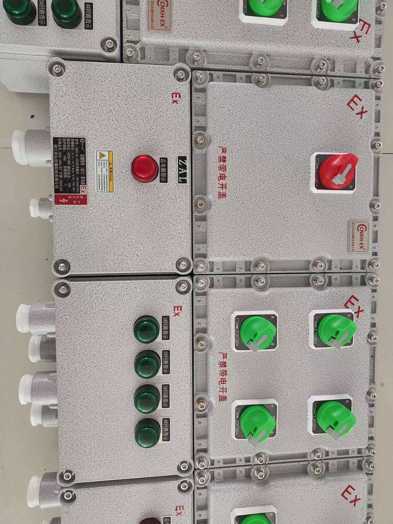  LED防爆泛光灯 消防应急照明电箱 量大价低 全国配送