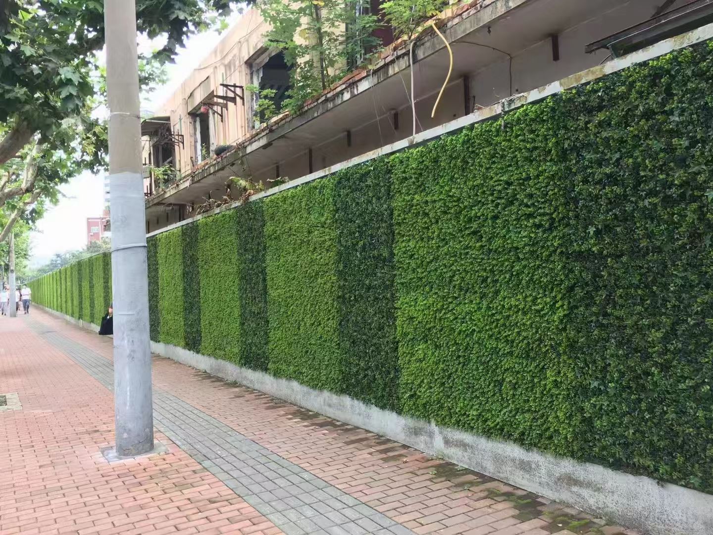 室外仿真绿植墙 厂家直供
