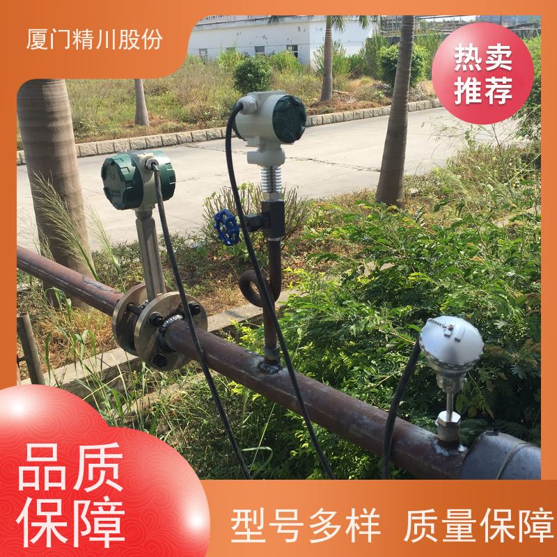 精川股份 织造厂 锅炉蒸汽流量计 分体式温压补偿 源头生产厂家