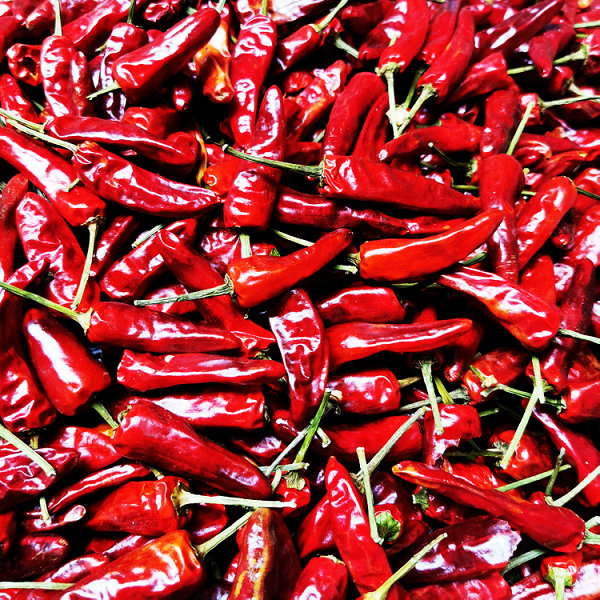 产地直销武汉黑鸭专用辣椒皮厚耐煮福建辣椒王家用商用 