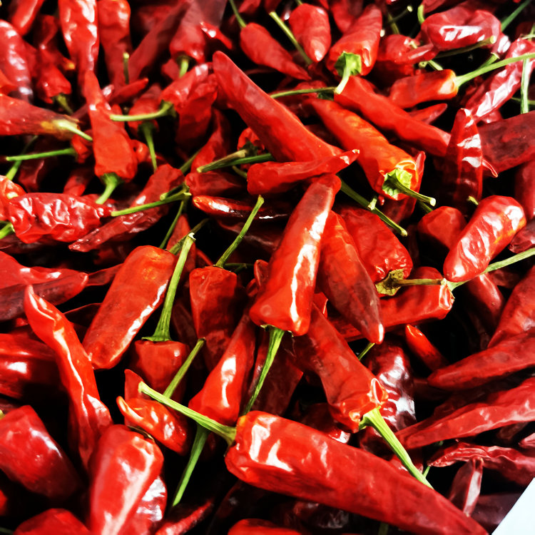 添香汇牌武汉黑鸭专用辣椒卤味专用福建辣椒王可去把 