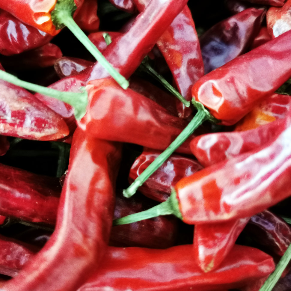 行业揭秘:热辣现卤现捞辣椒王卤味专用福建辣椒王卤鸭货 