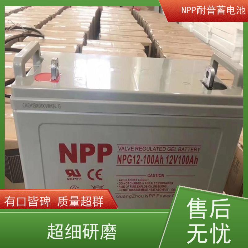 UPS电源电池 NPG12-250  适用EPS ups电源  维护保养