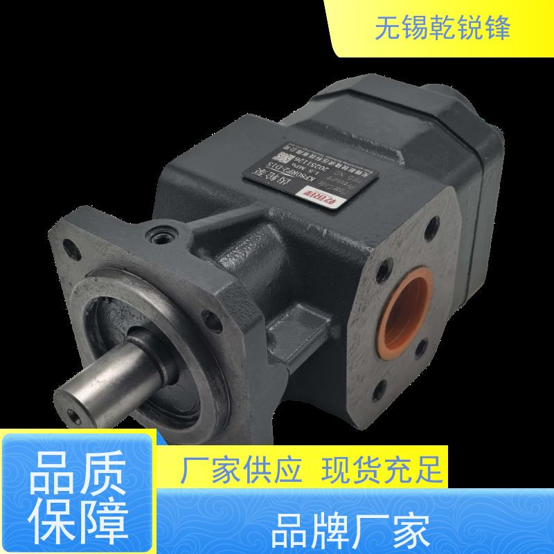 乾锐锋 生产厂家  结构简  斯特梅尔泵  KF50RF2-D15