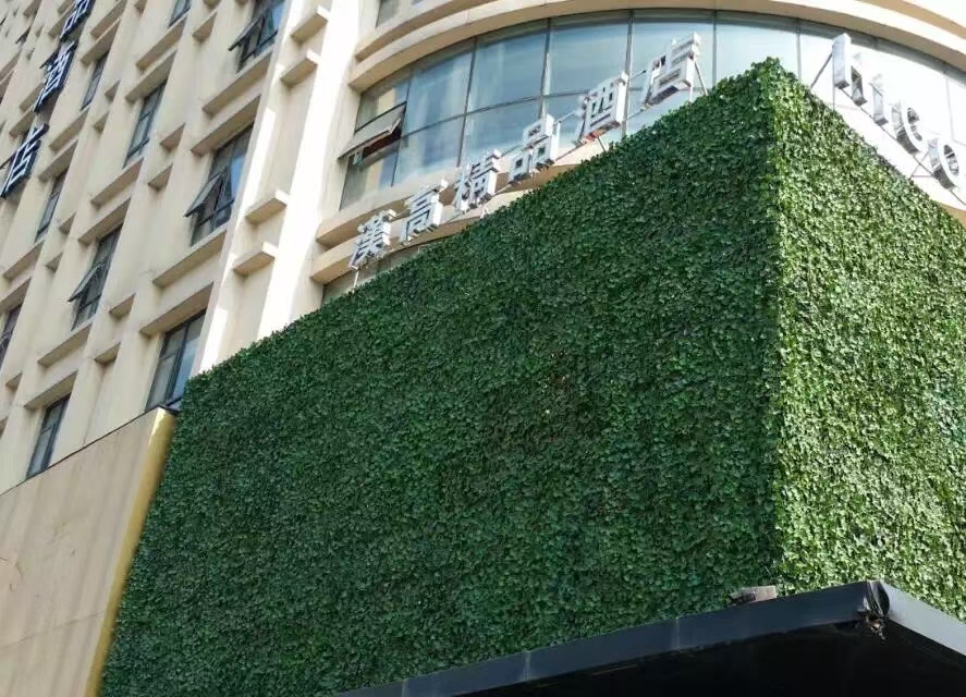 室内仿真绿植墙 厂家