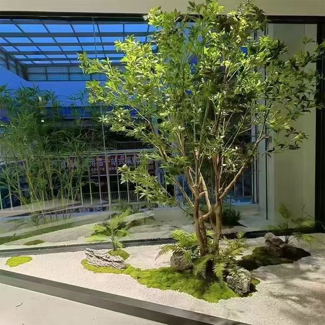 雨林缸 维护简单