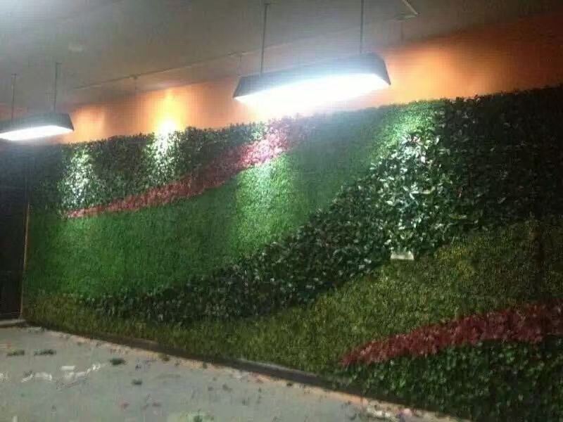 写字楼仿真植物墙 免费设计安装