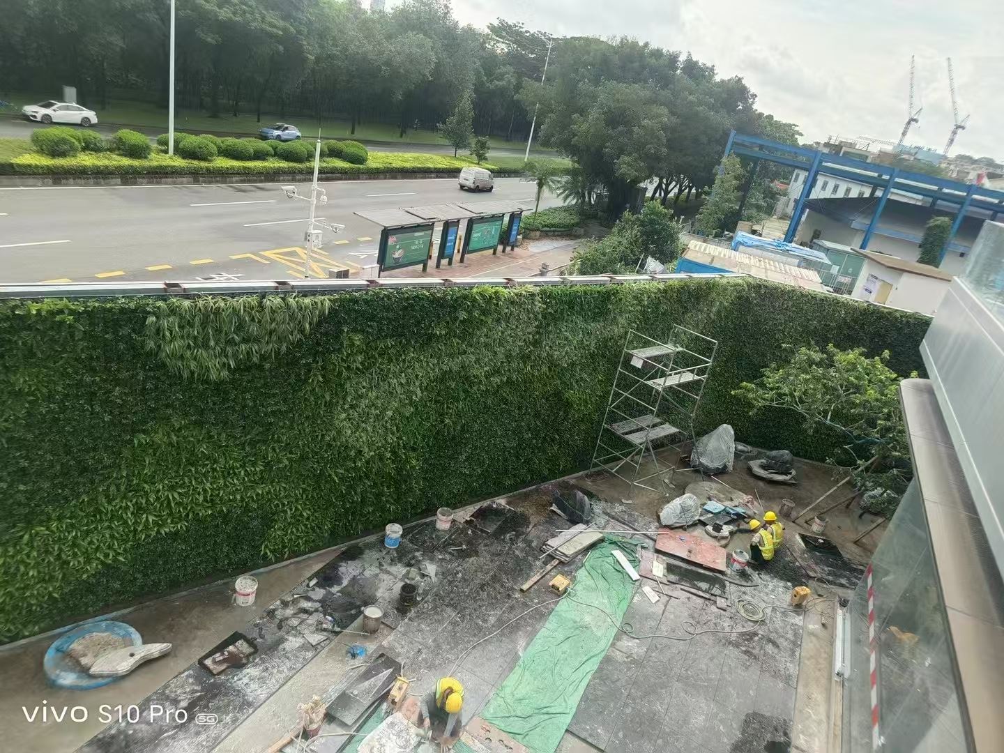 仿真植物墙 规格可定制