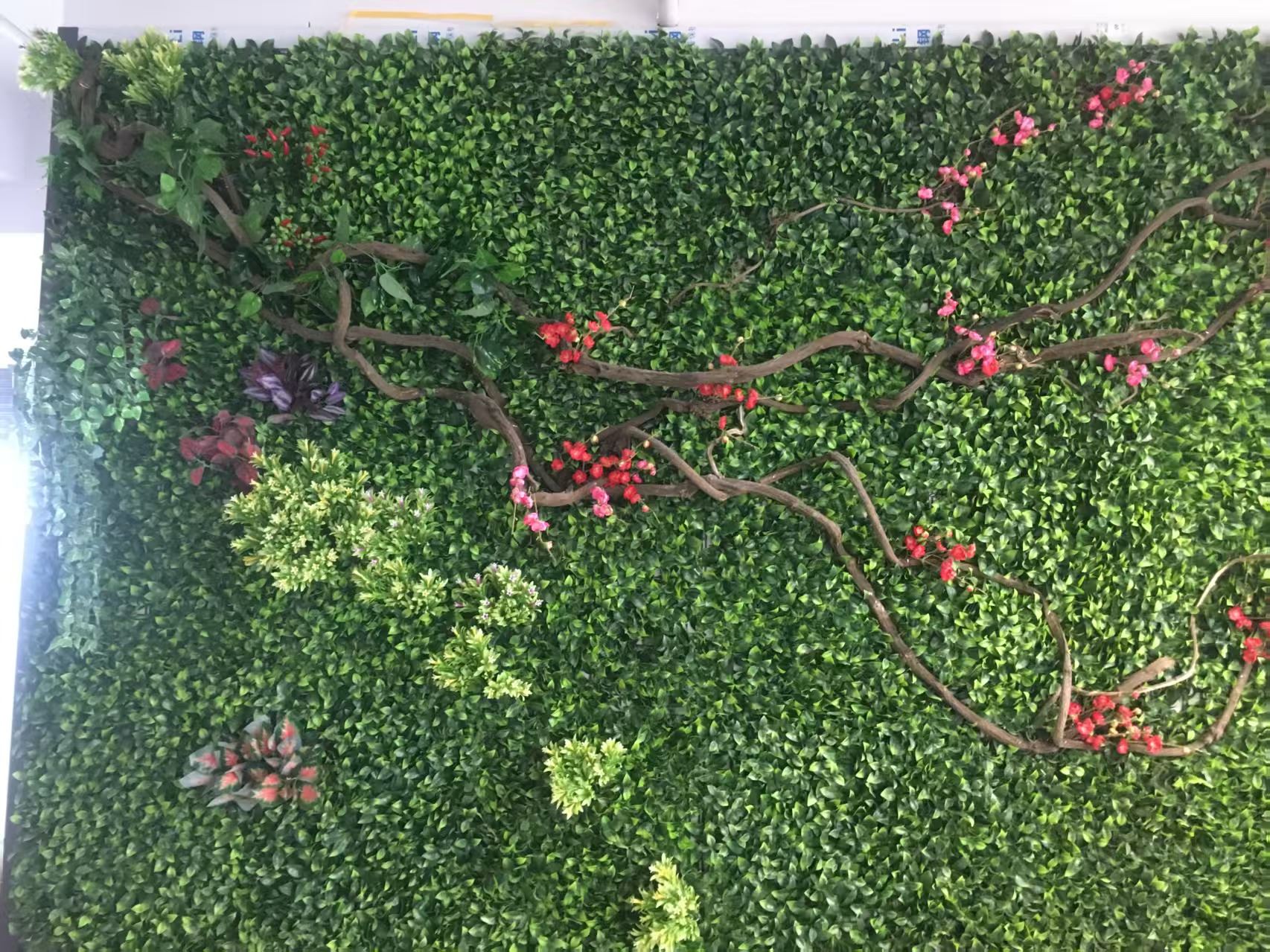 仿真绿化工程 免费设计安装