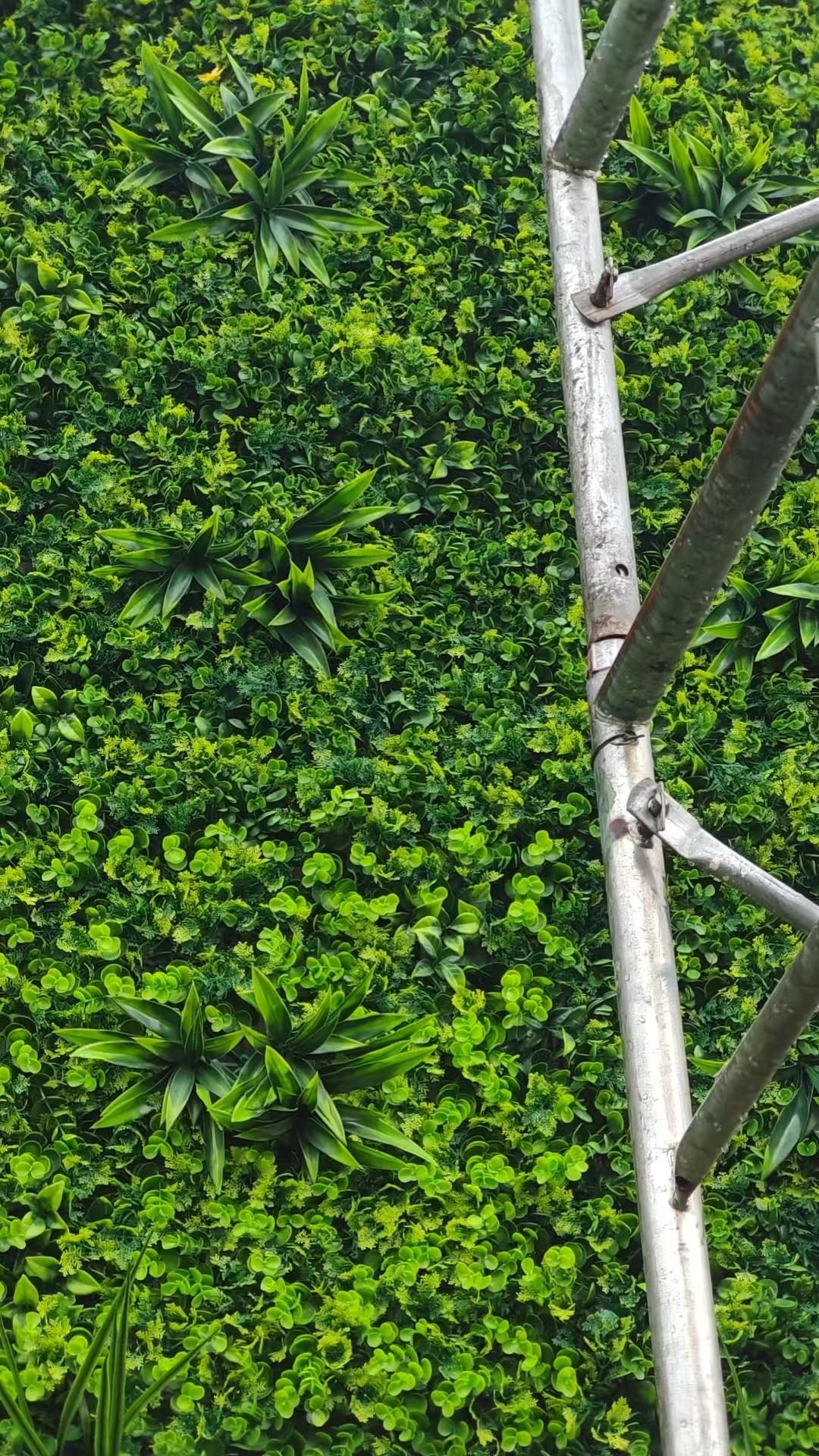 仿真绿化工程 工厂批发