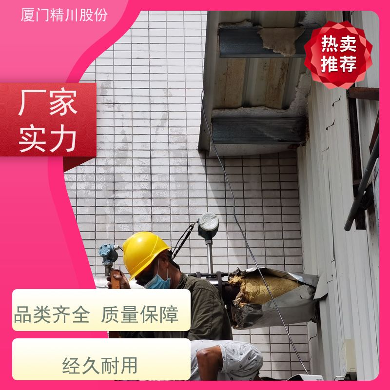 精川股份 橡胶厂 锅炉蒸汽流量计 测量精度高 源头生产厂家