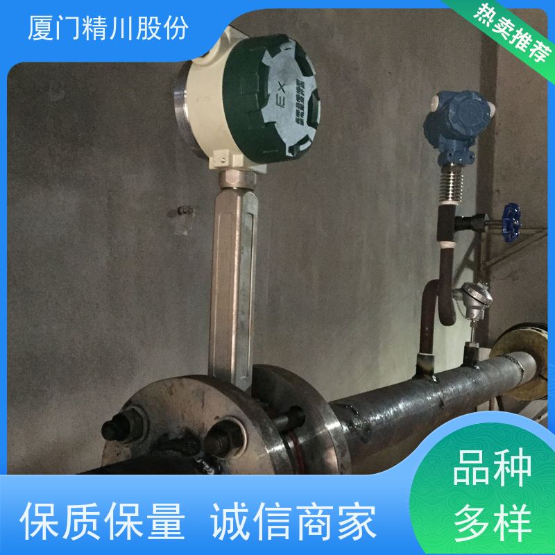 精川股份 合成革厂 涡街蒸汽流量计 一体式温压补偿 源头生产厂家