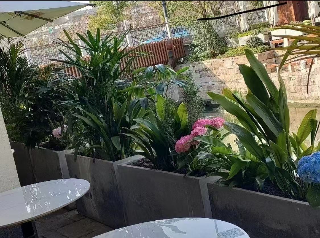 室内绿植造景 生产厂家